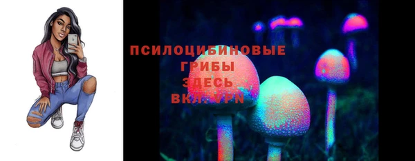 дурь Дмитров