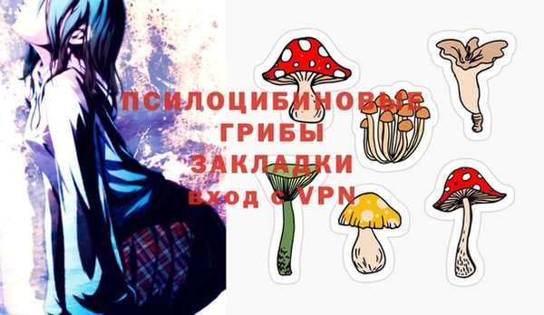 дурь Дмитров