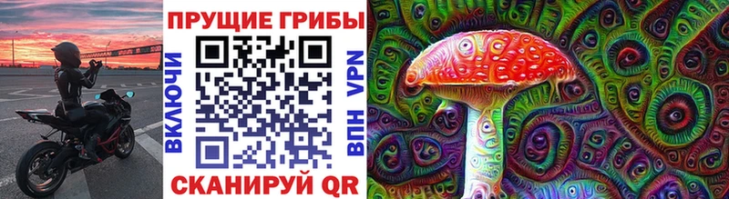 Купить закладки  Слободской  Псилоцибиновые грибы мухоморы 